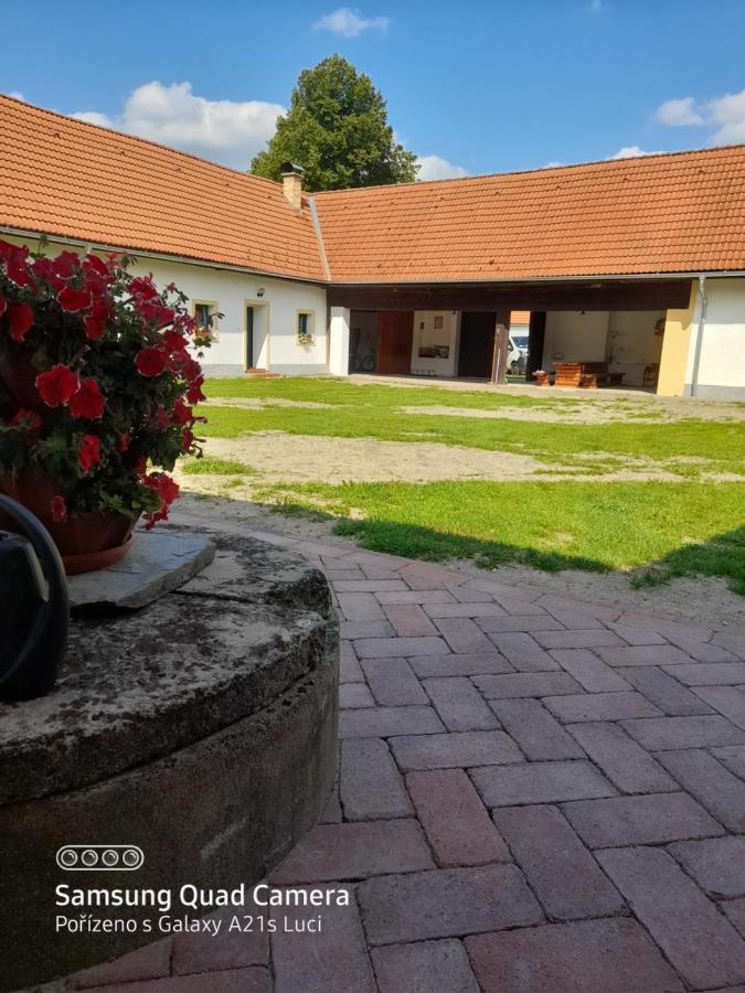 Appartement Kojan à Jílovice Extérieur photo