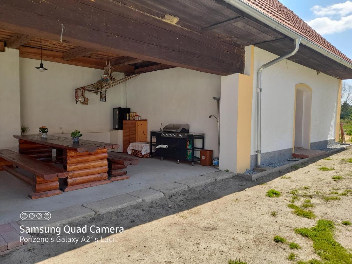 Appartement Kojan à Jílovice Extérieur photo