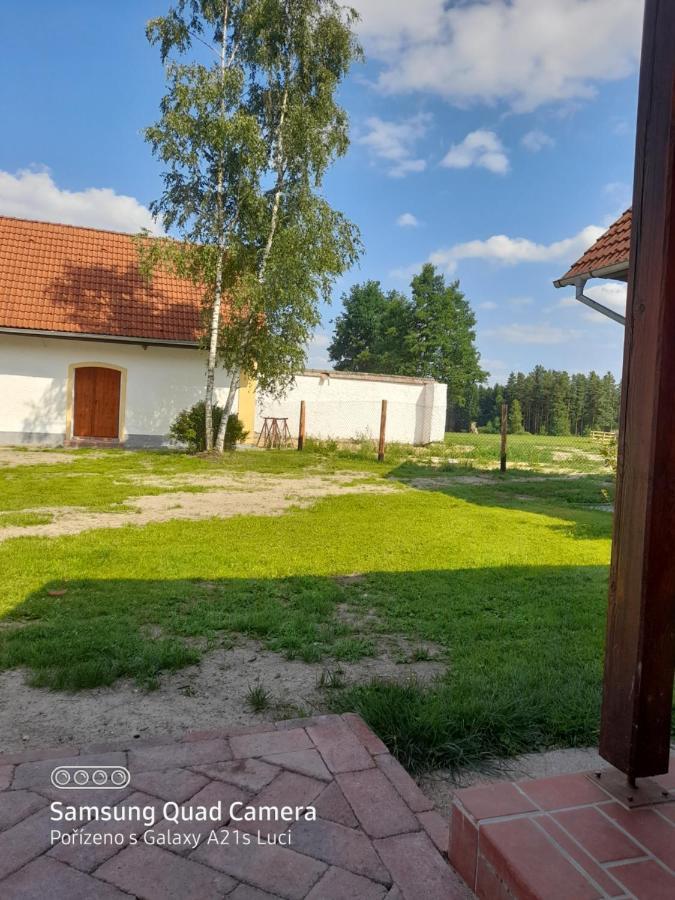 Appartement Kojan à Jílovice Extérieur photo