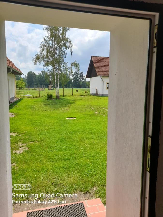 Appartement Kojan à Jílovice Extérieur photo