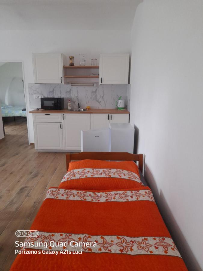 Appartement Kojan à Jílovice Extérieur photo